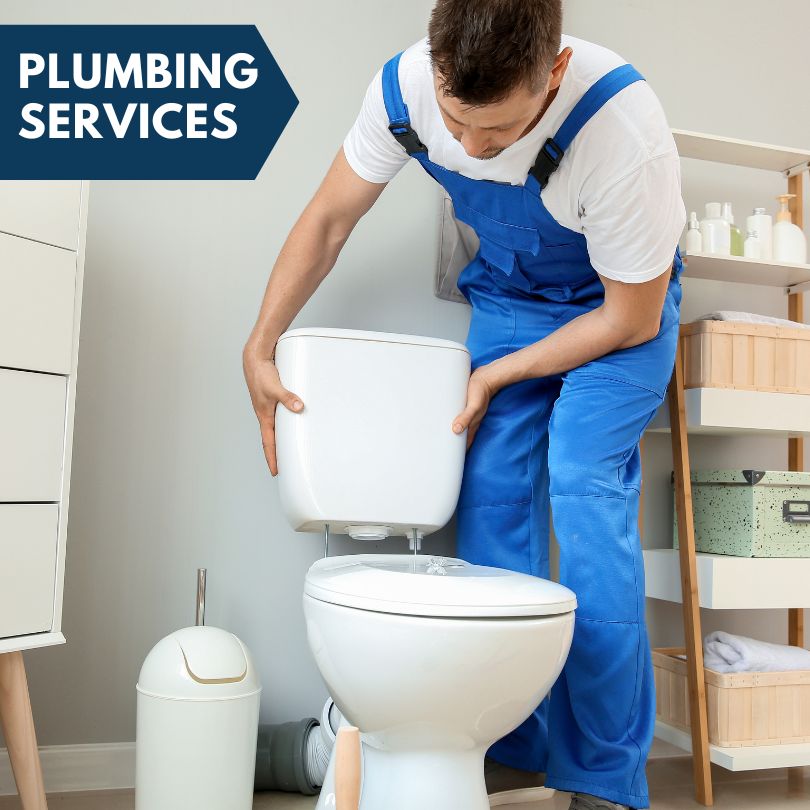 Plumbing Company in Gateway, CO
